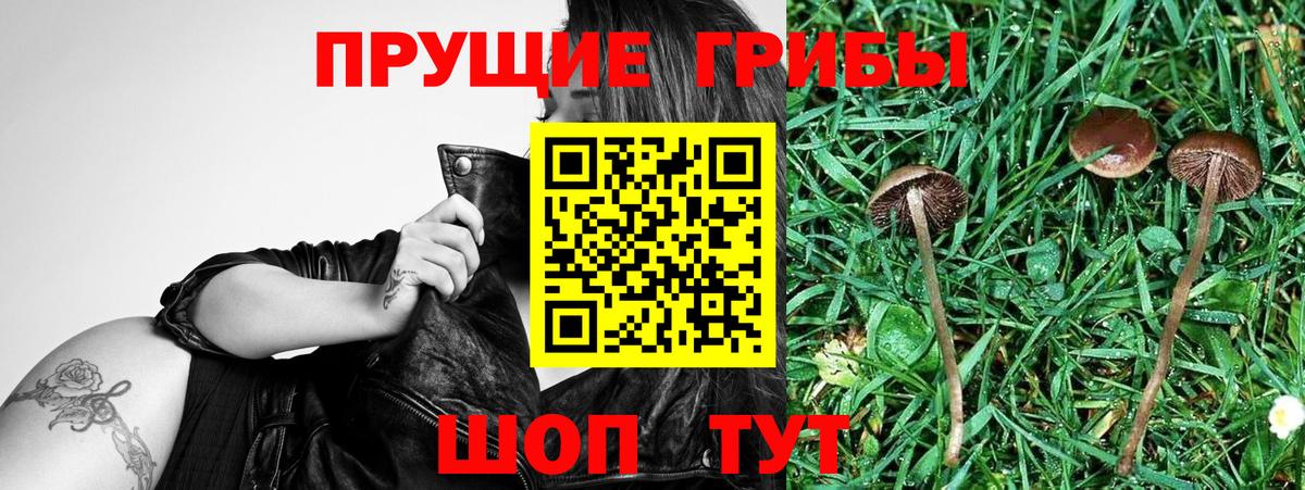 Alpha-PVP СК кристаллы  Вход с VPN  Кокаин  ТГК  Березники  МЕФ кристаллы  Конопля 