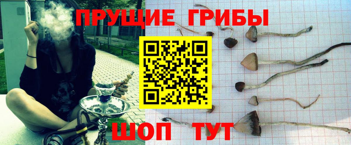 Березники  Псилоцибиновые грибы Psilocybe  Псилоцибиновые грибы прущие грибы  Вход с VPN 