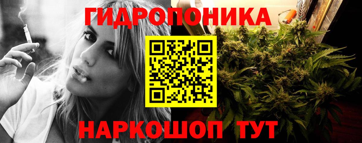 Березники  Марихуана White Widow  Вход с VPN  Бошки Шишки семена  Каннабис White Widow  МАРИХУАНА OG Kush 
